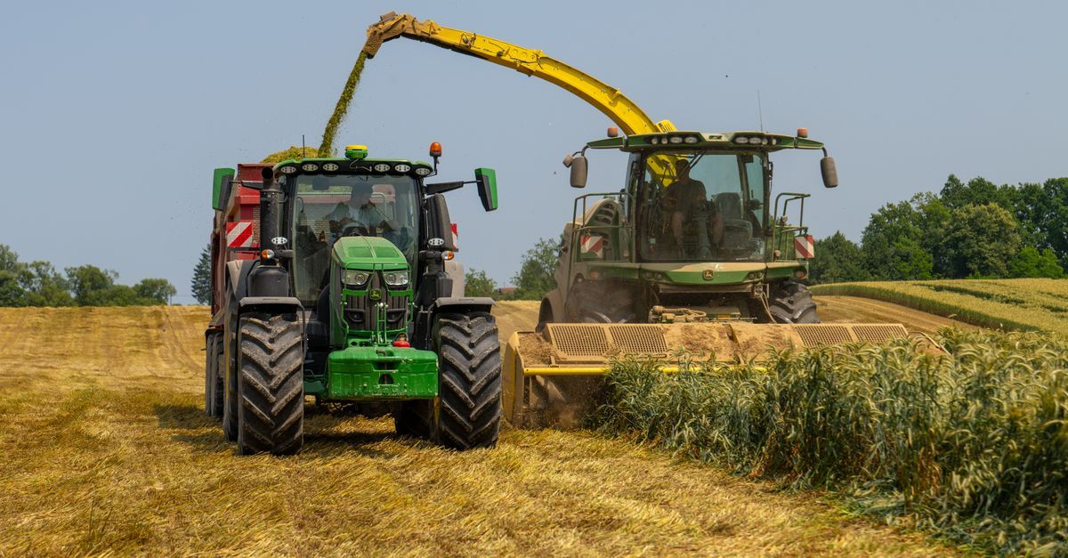 Formas de modernizar o cultivo com máquinas em Ibiúna